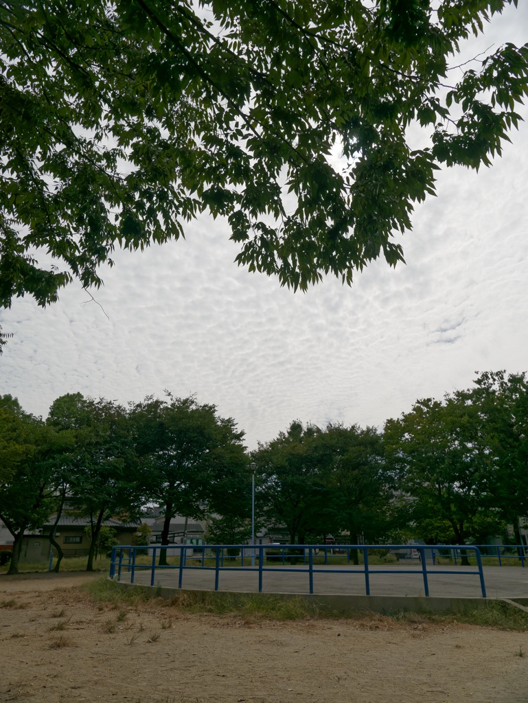 _1010658_DxO