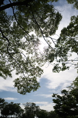 DSC00966