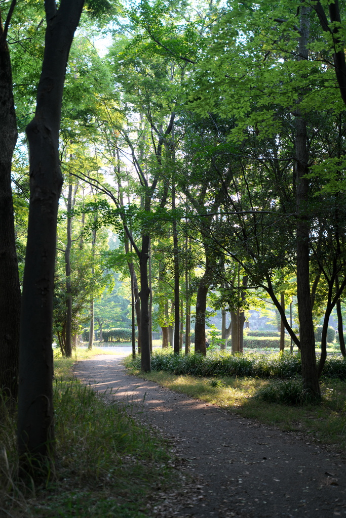 DSC01419