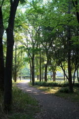 DSC01419