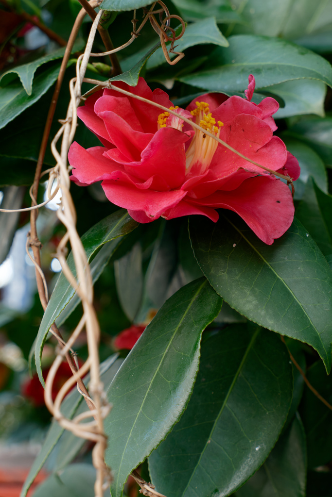 P1000330_DxO