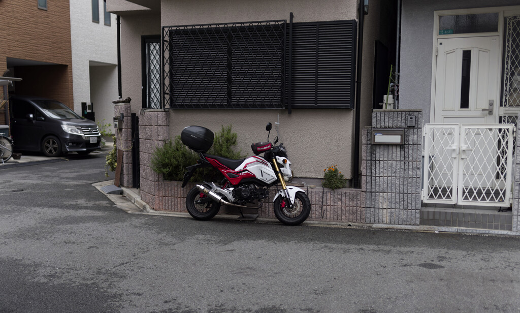 _1100891_DxO