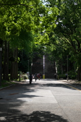 DSC00890