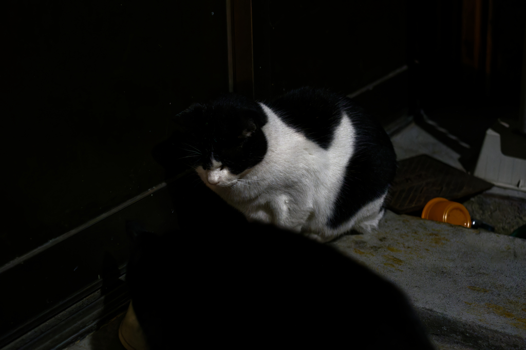 P1012232_DxO