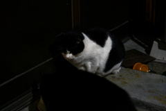 P1012232_DxO