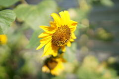DSC00097