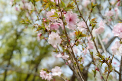 7R308968_DxO