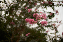 DSC02395