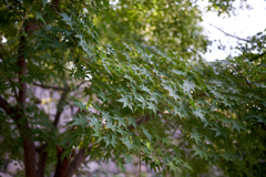 DSC03925