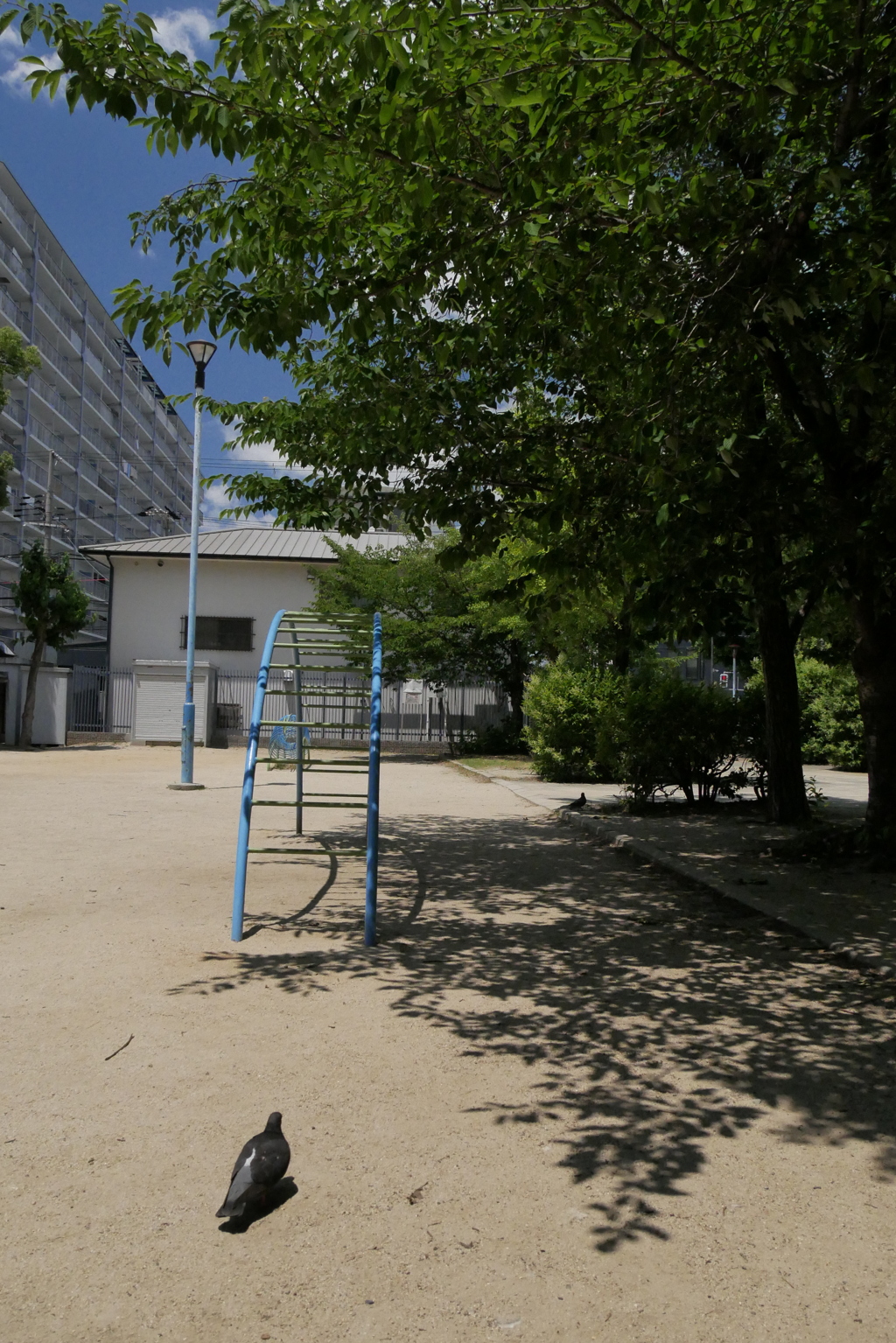 撮って出しってどうなん