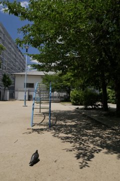 撮って出しってどうなん