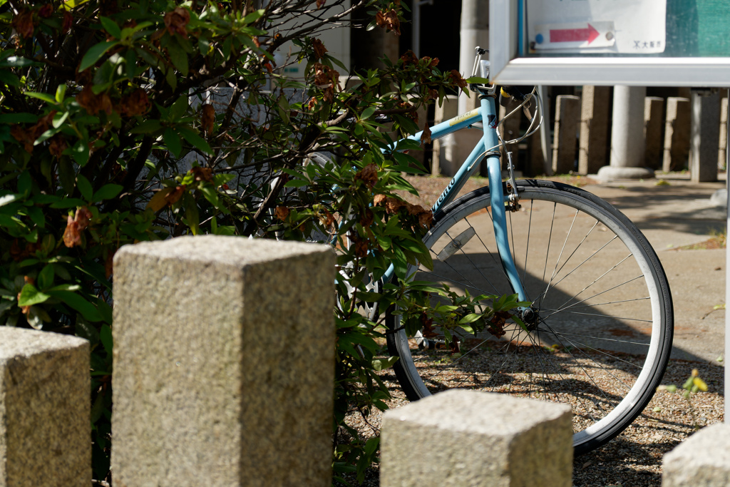 自転車