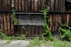 P1000444_DxO