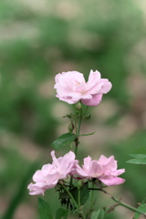 P1079535