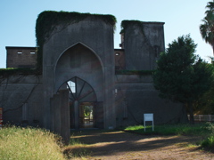 P1094113