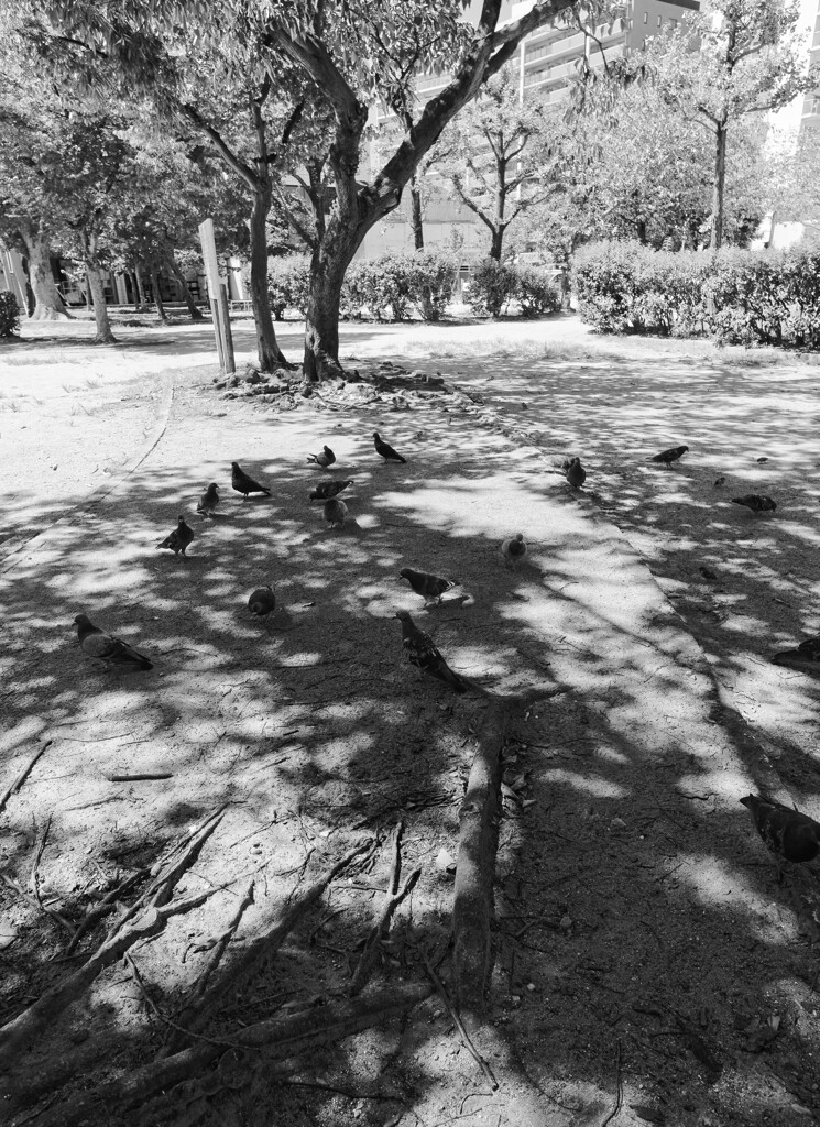 _1069528_DxO by 日本復活プロジェクト （ID：13140422） - 写真