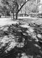 _1069528_DxO