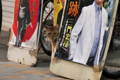 DSC01918
