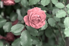 P1079538
