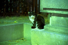 DSC01175