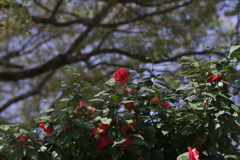 A7C01714