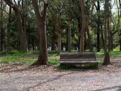P1050727_DxO