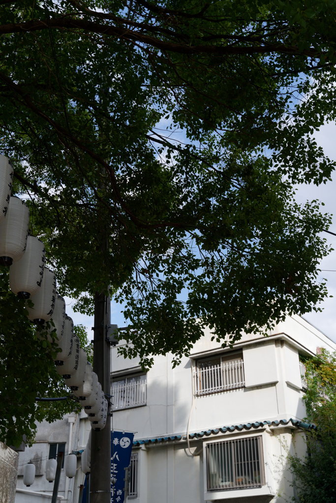 7R309873_DxO