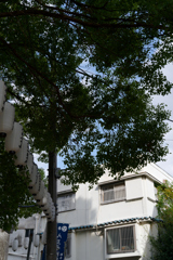 7R309873_DxO