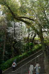 7R308953_DxO