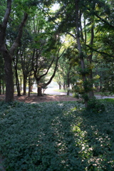 DSC01418