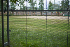 DSC02424