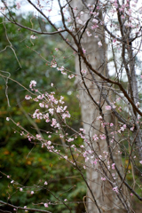 DSC00032