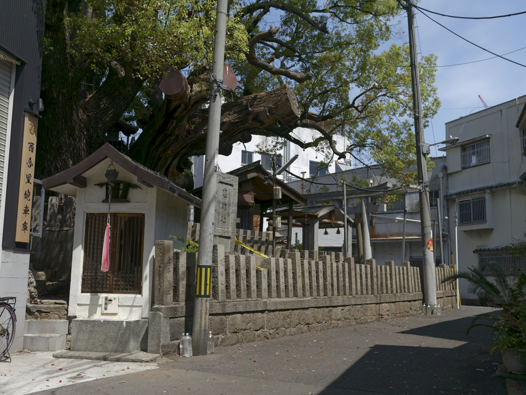 _1000176_DxO
