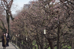 P1053861