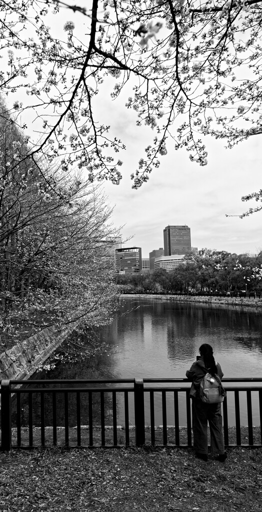 _1090416_DxO