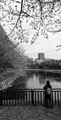 _1090416_DxO