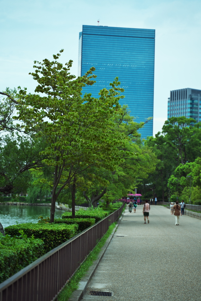 DSC01860