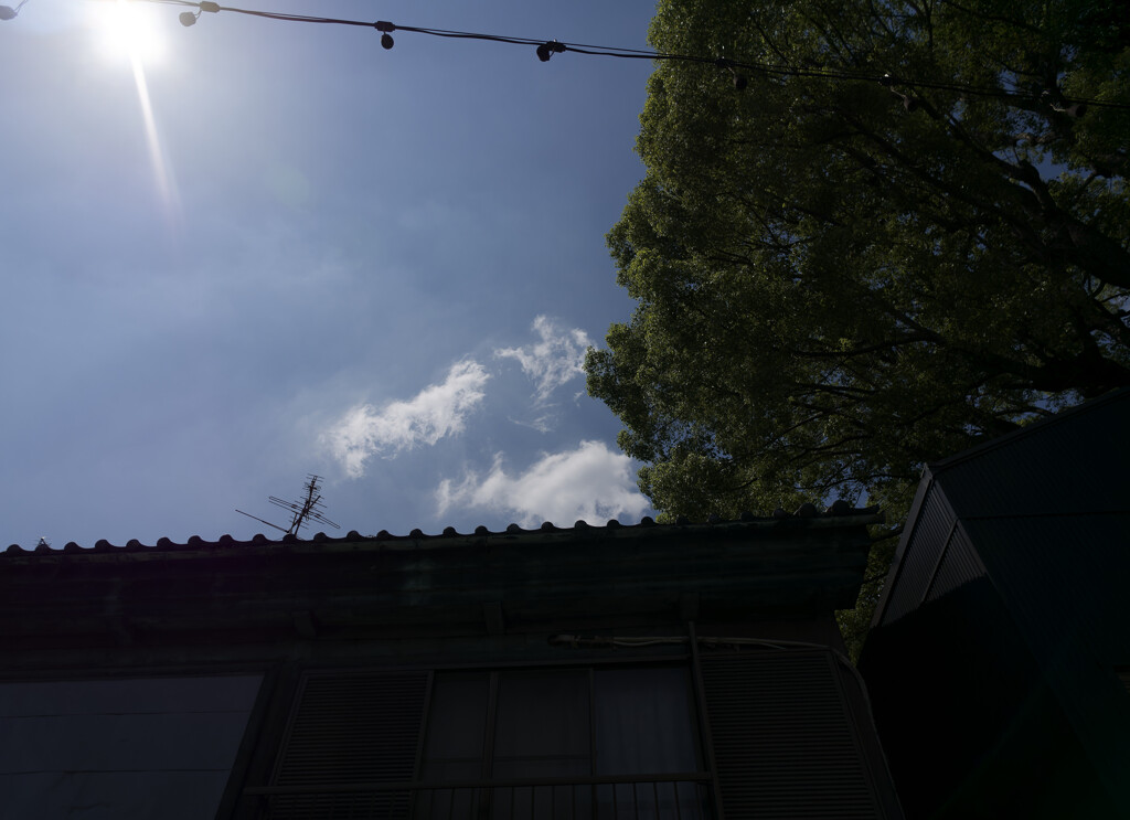 _1040749_DxO