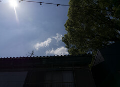 _1040749_DxO