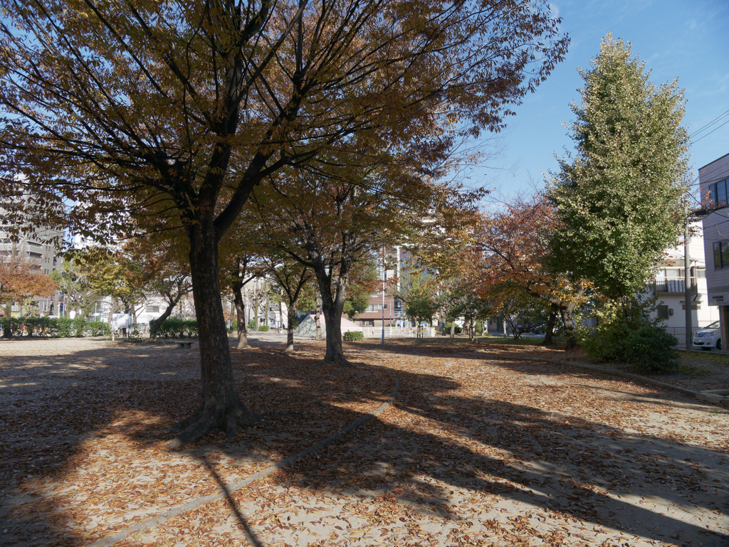 _1020713_DxO