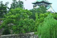 DSC01845