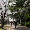 P1077957