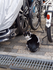 P1020638_DxO