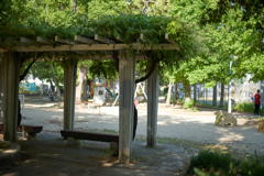 DSC05983_1