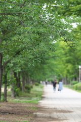 DSC01262