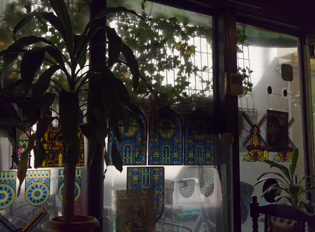 _1090331_DxO