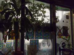 _1090331_DxO