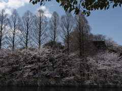 _G9P8181_DxO