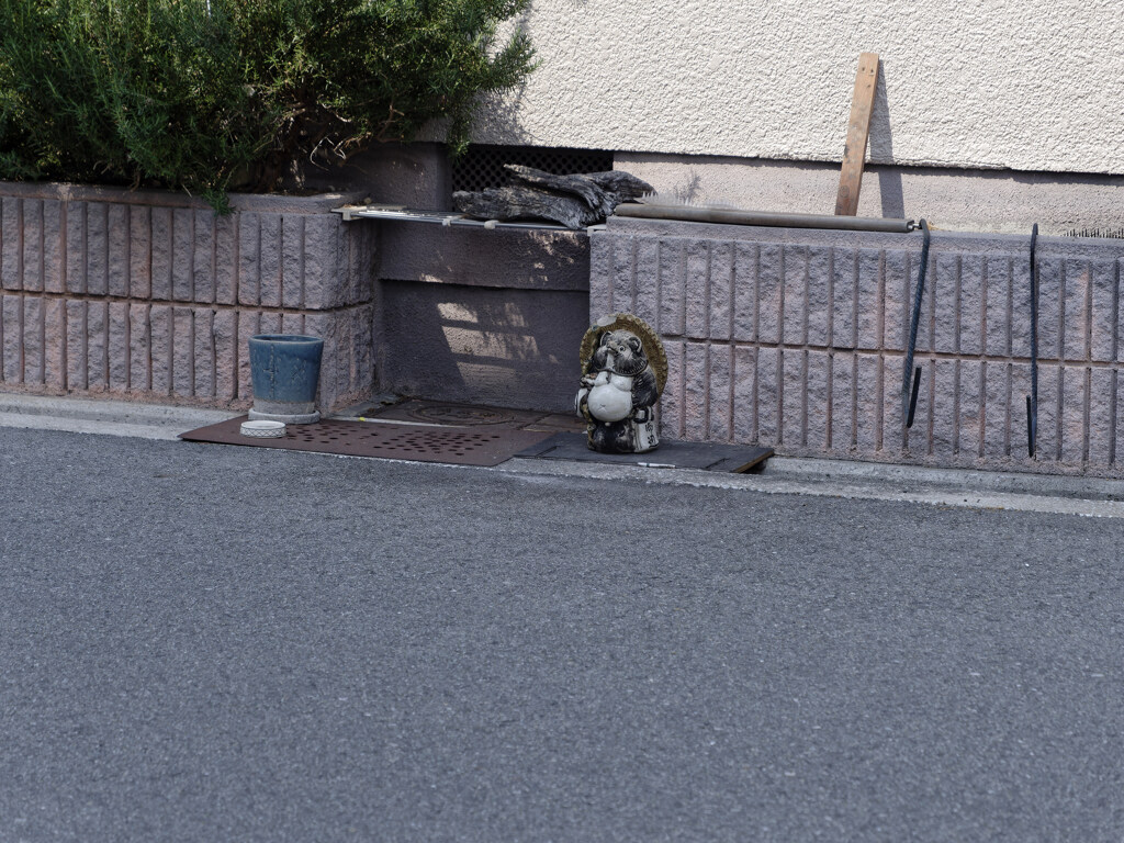 _1090379_DxO
