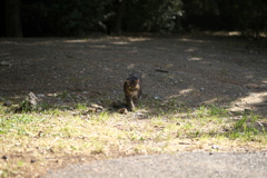 DSC00840